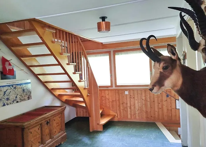 5-zimmerwohnung Zentral Und Nahe Den Skipisten 公寓