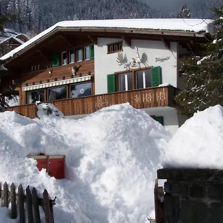 Apartment 5-zimmerwohnung Zentral Und Nahe Den Skipisten *